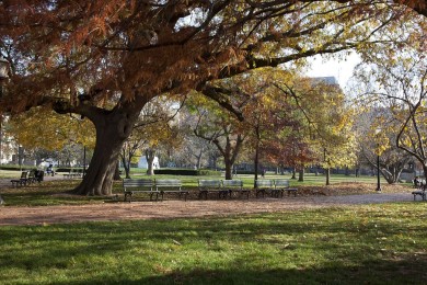 Lafayette Park, Washington, D.C.